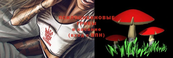 скорость Нефтекумск
