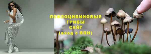 бошки Абдулино
