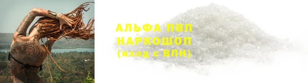 СК Абинск