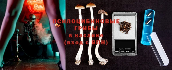 СК Абинск