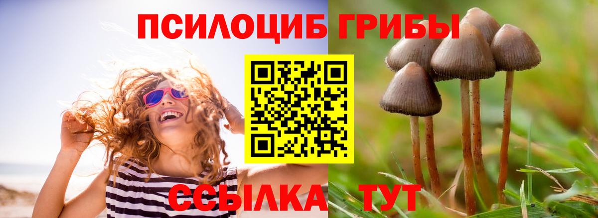 наркотики  Псилоцибиновые грибы Psilocybe  Вход с VPN  Энгельс  Галлюциногенные грибы прущие грибы 